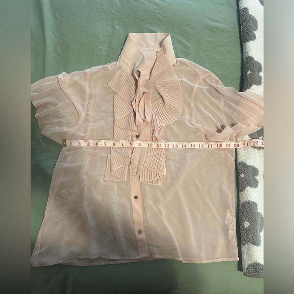 Sheer Pink Zara Blouse - Picture 6 of 7